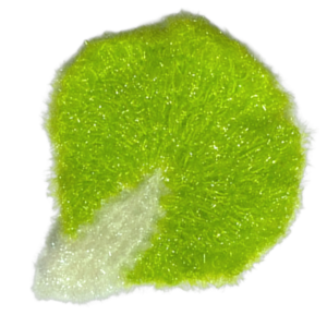 Light Green Lettuce Scrubbie Sponge – Odor Resistant Dish Scrubber