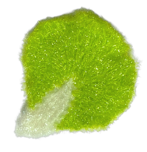 light-green-lettuce-scrubbie-sponge